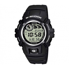 Часы CASIO G-SHOCK G-2900F-8VER